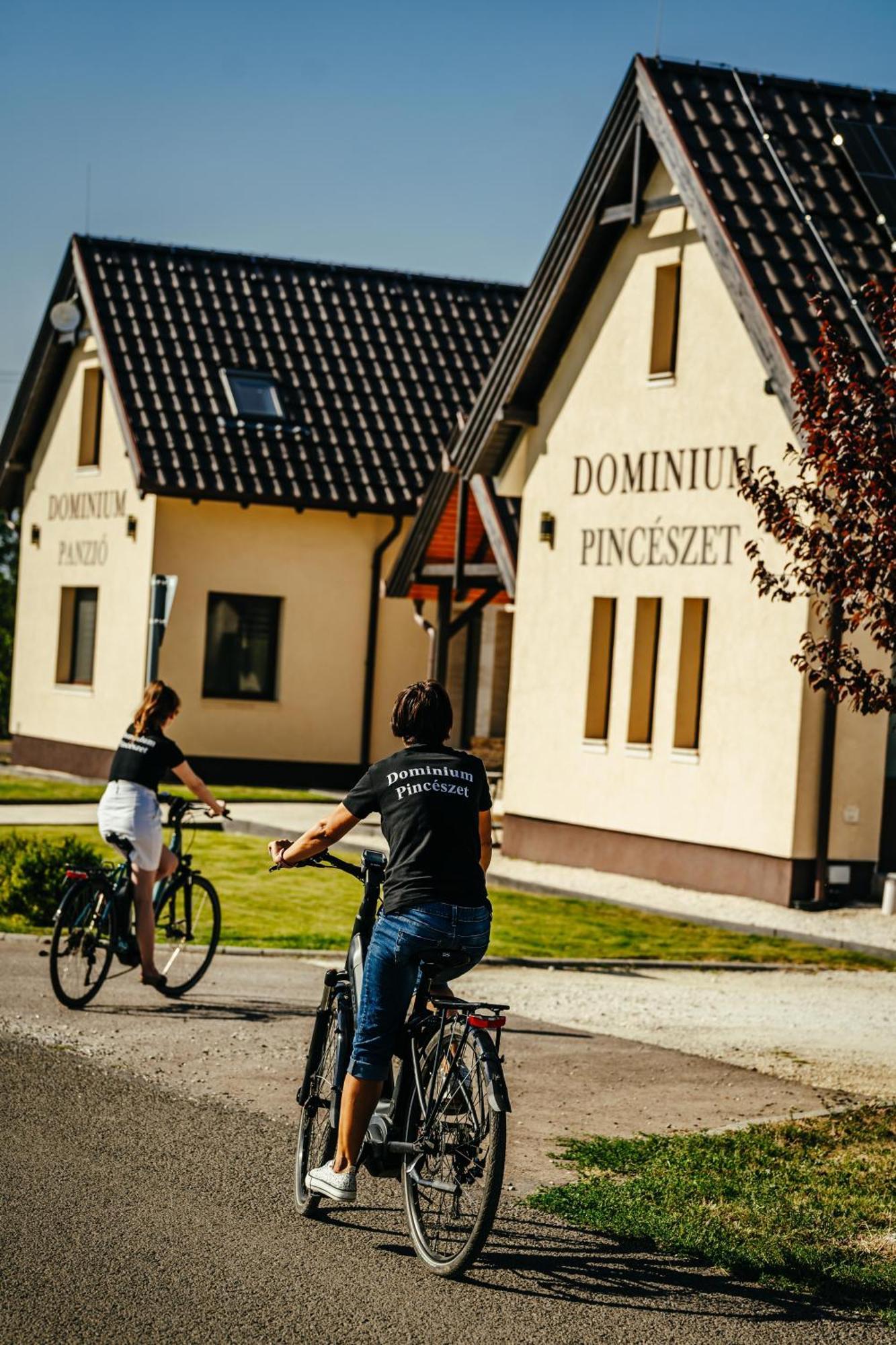 Gyöngyös Dominium Pinceszet Es Panzio Bed & Breakfast エクステリア 写真